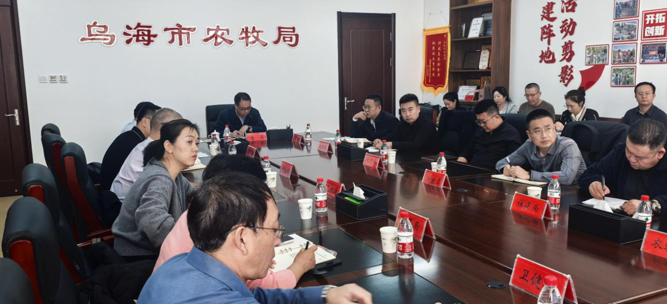 图片10 图片10